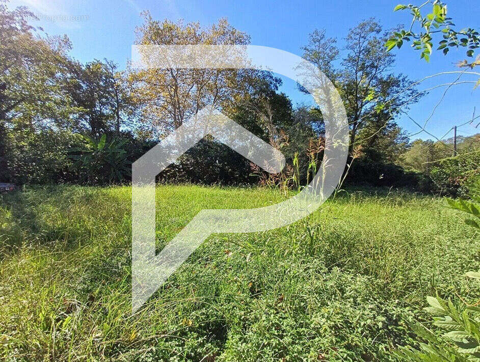 Terrain à PEYREHORADE