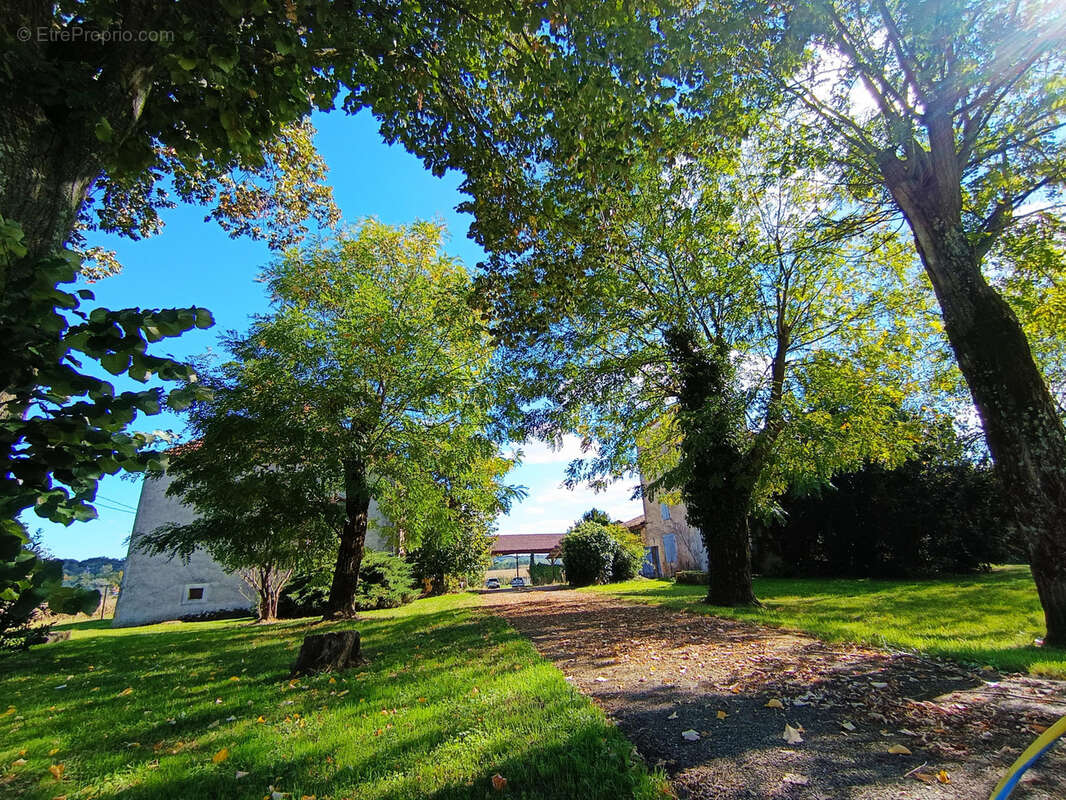 Maison à SAINT-VITE