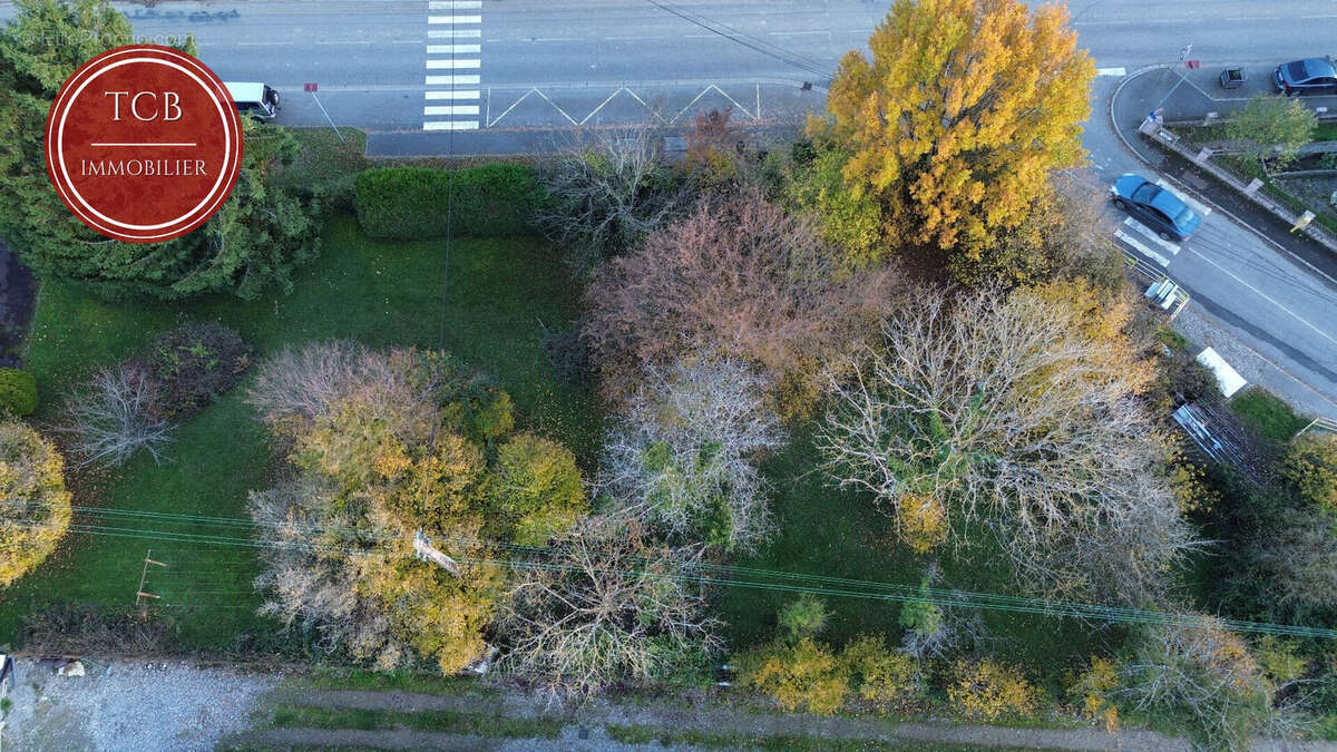 Terrain à ASPACH-LE-HAUT