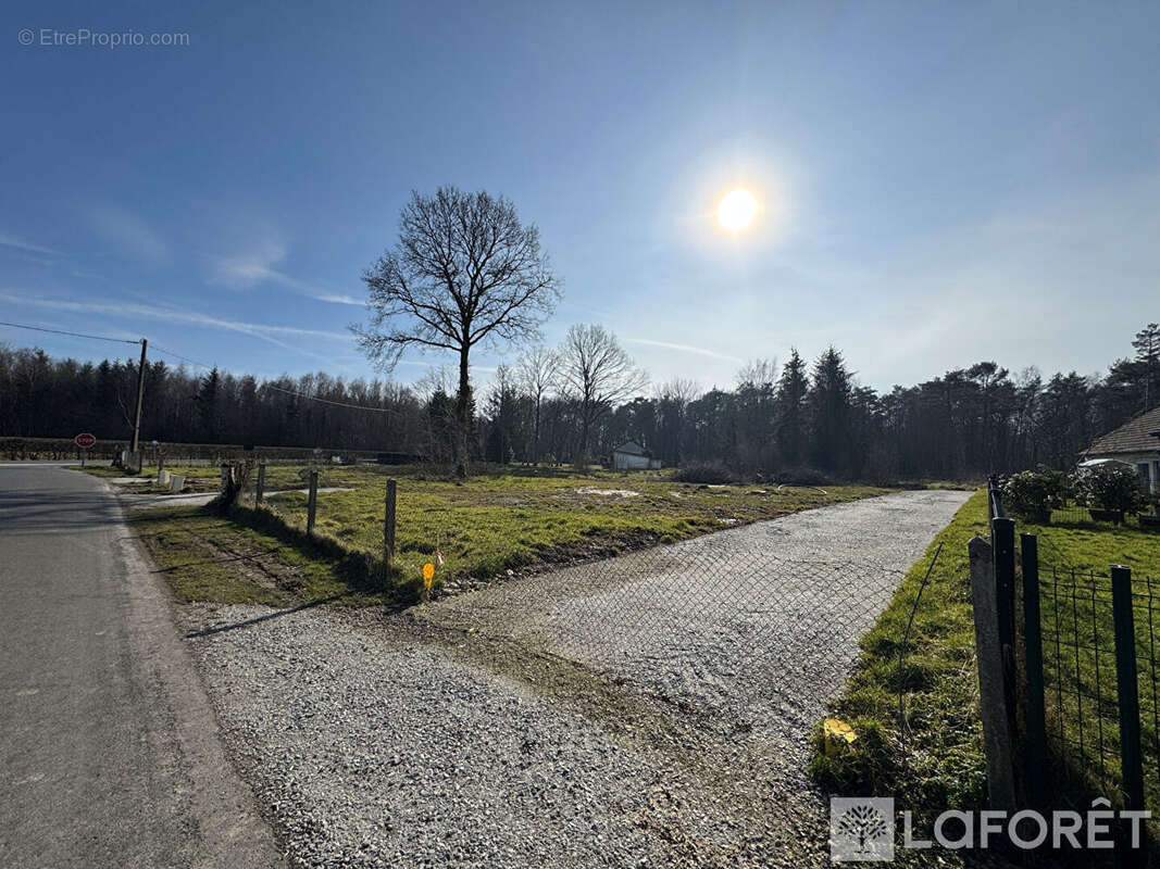 Terrain à LA FERTE-FRENEL