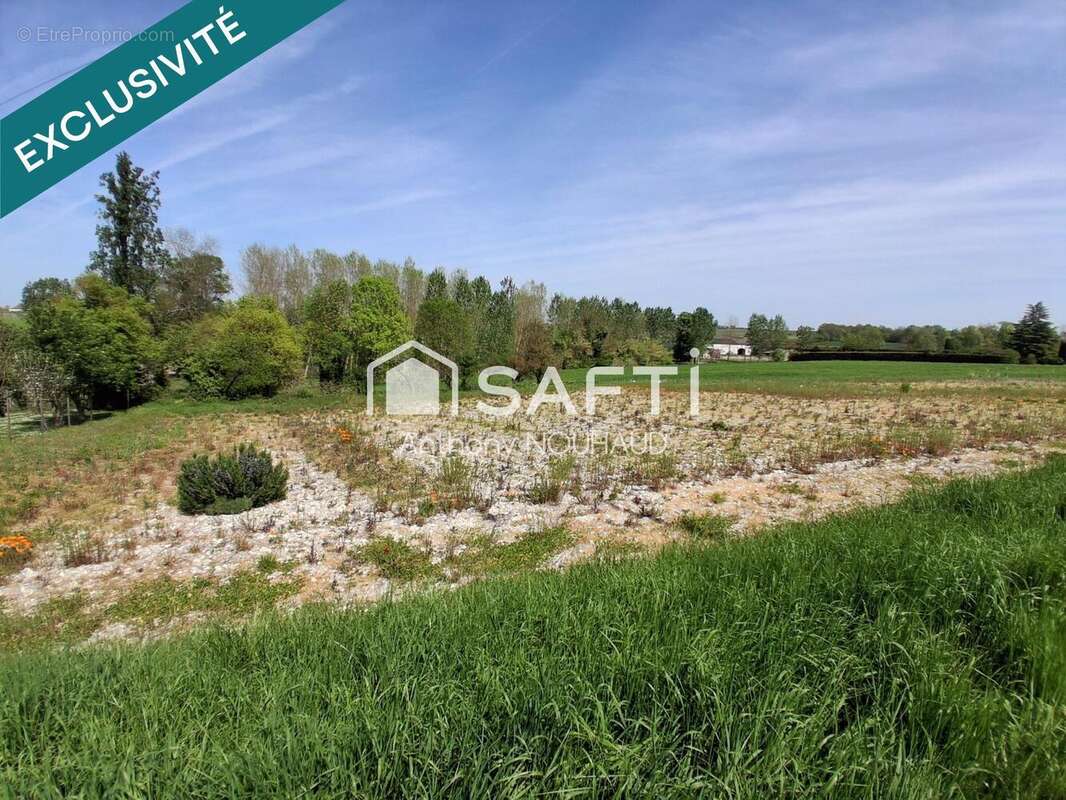 Photo 2 - Terrain à VERRIERES