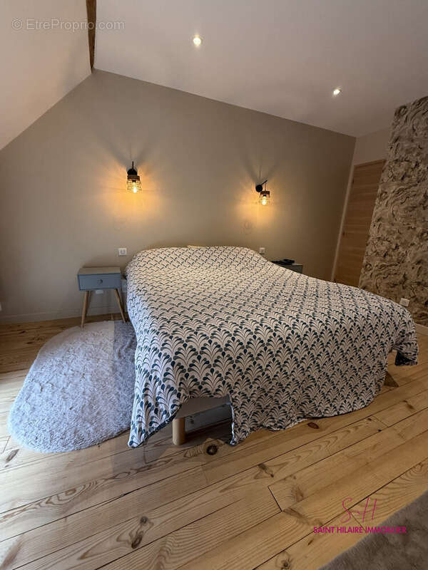 Maison 272 m² à Mareau-Aux-Pres  - photo 7