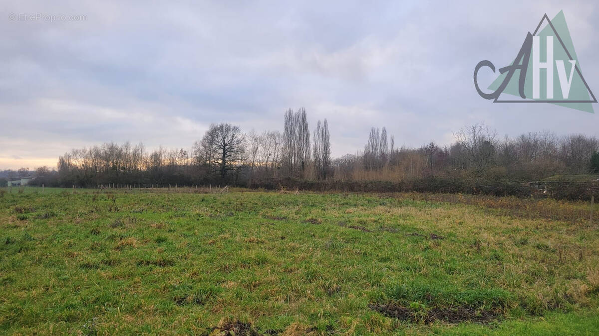 Terrain à VILLENEUVE-LES-BORDES