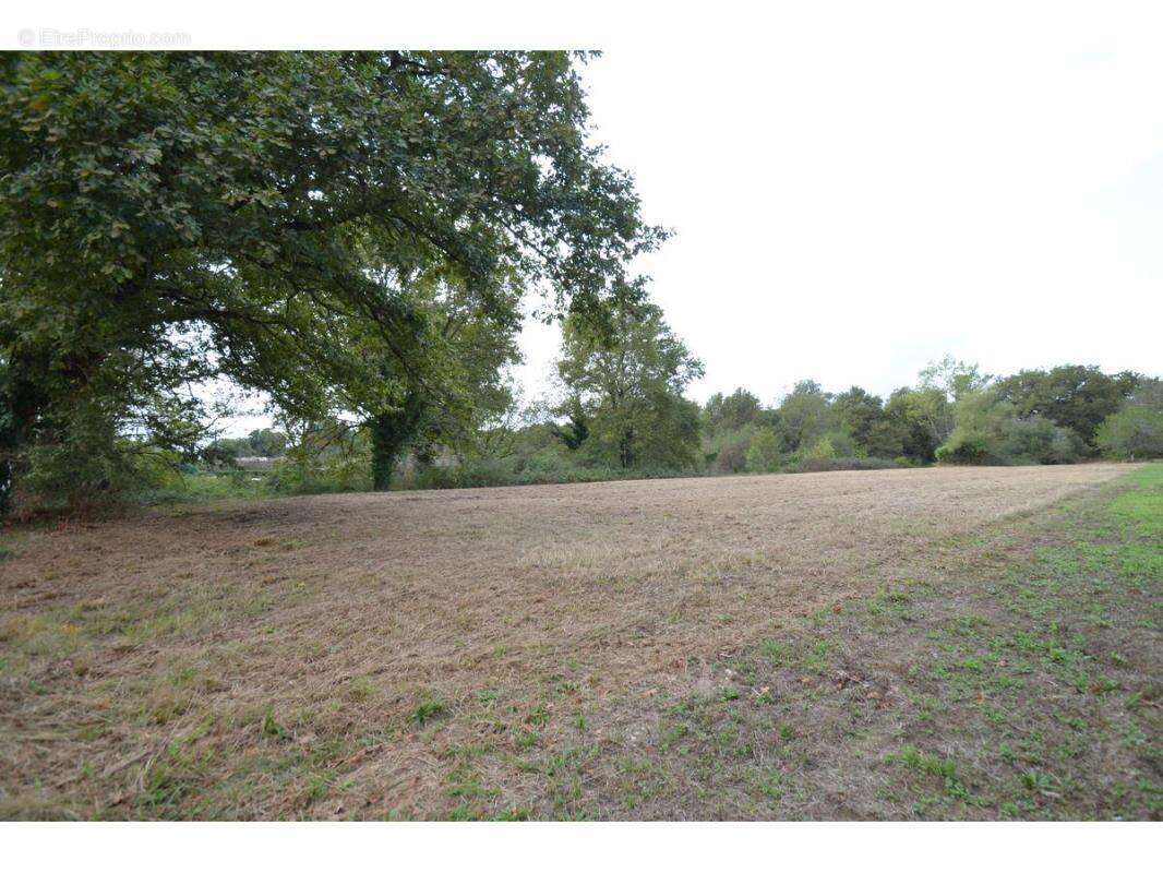 Terrain à PORCHERES