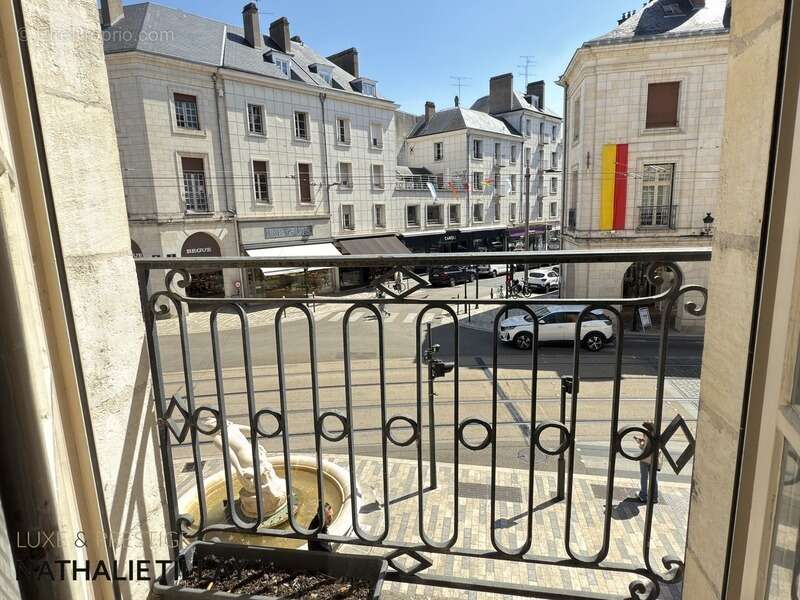 Appartement, rue Royale, à vendre , 3 chambres, statiuonnement, ORLEANS (45) - photo 8