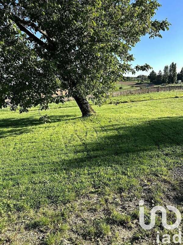 Photo 8 - Maison à DOLLOT