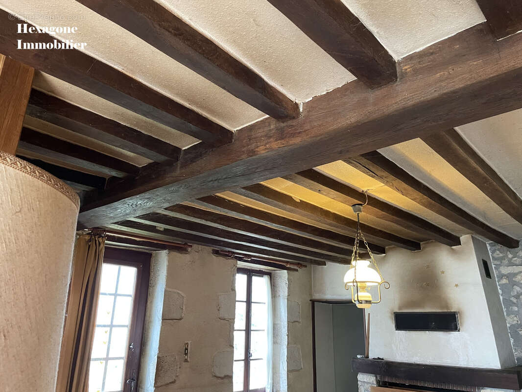 Maison à OUSSON-SUR-LOIRE