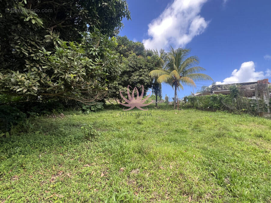 Terrain à SAINTE-MARIE