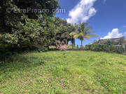 Terrain à SAINTE-MARIE