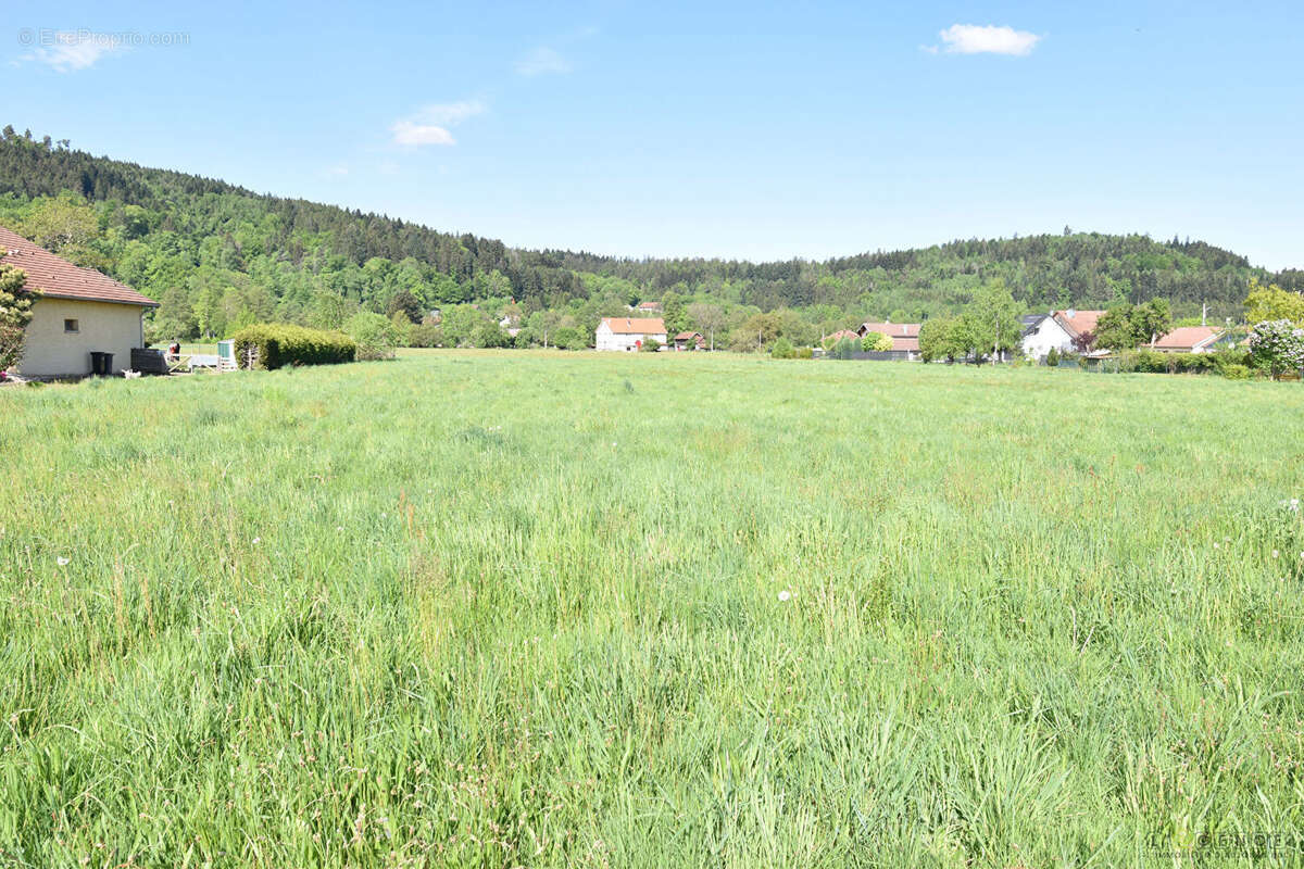 Terrain constructible Anould 2058 m2 - photo 3