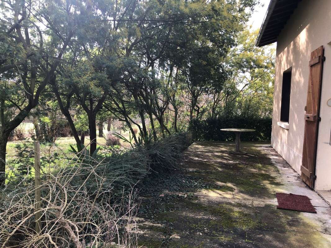 Maison à MASSEUBE