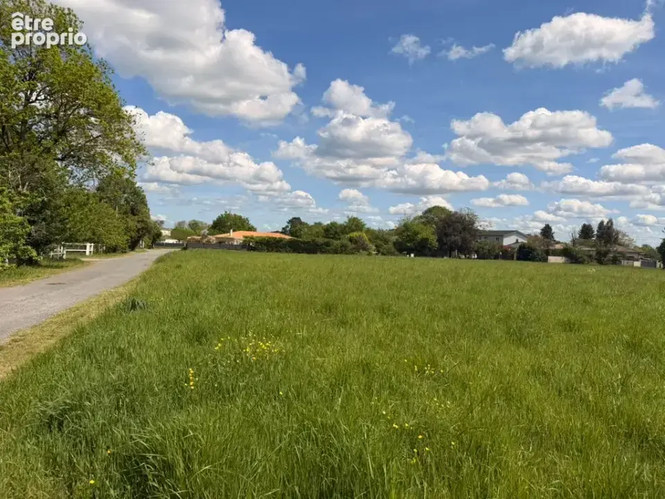Terrain à MARTILLAC