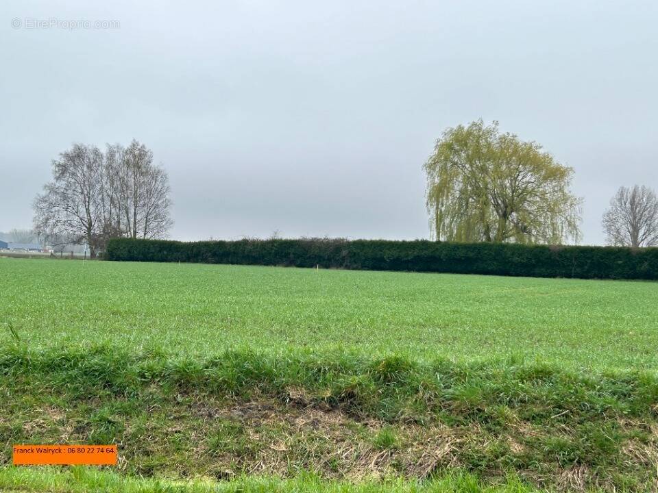 Terrain à GONNEHEM