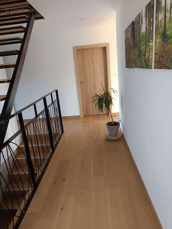 Maison à WISSEMBOURG