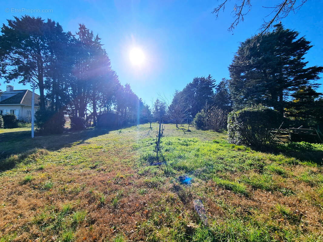 Terrain à CASTANET-TOLOSAN