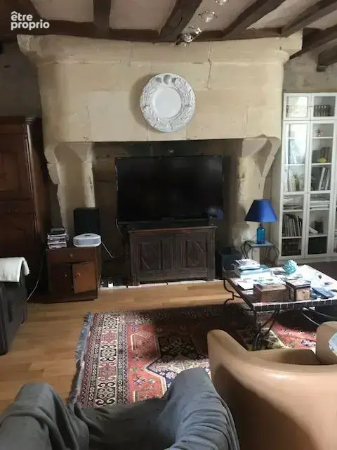 Maison 7 pièces 282 m² à vendre à Souzay-Champigny (49400) - photo 3