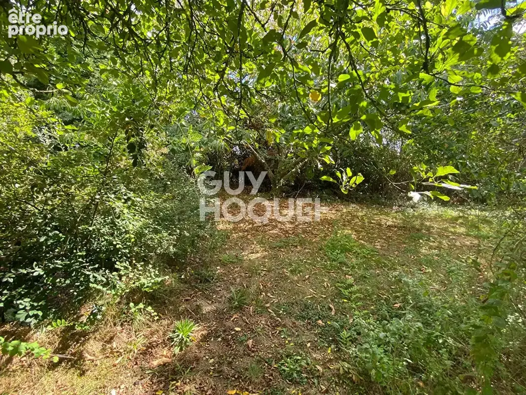Terrain à vendre à Vannes Nord - Opportunité rare de 595 m² - photo 3