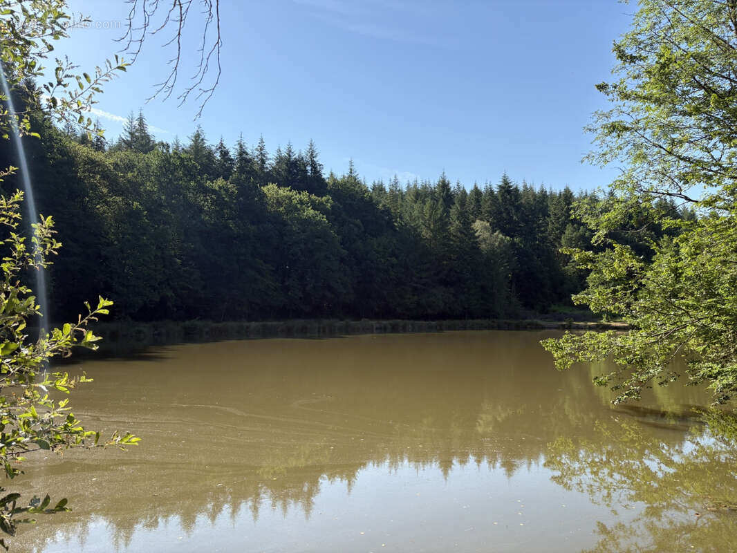 Bussière Galant un étang de loisir avec 1.4 ha de terrain boisé - photo 4