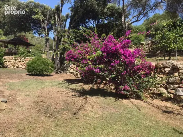 A VENDRE Calvi   Terrain constructible de 5 249 m2 (en zone UCc) - photo 4