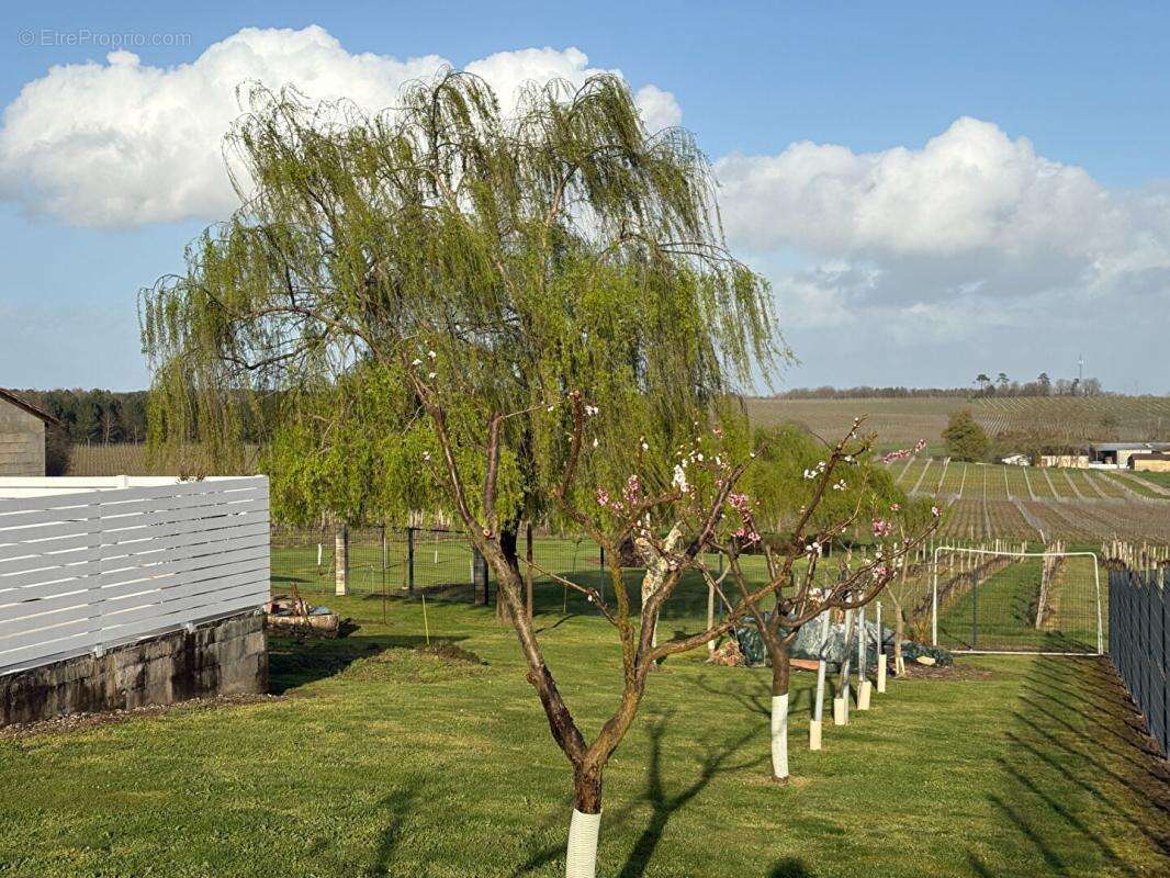 Maison à SAUVETERRE-DE-GUYENNE