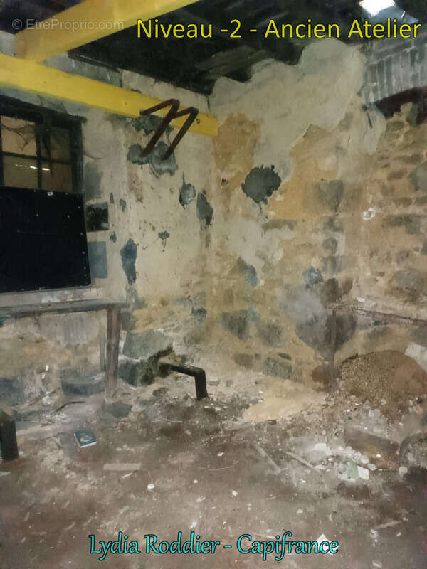Maison de maître de 10 pièces avec terrain RARE à Thiers (63300) - photo 24