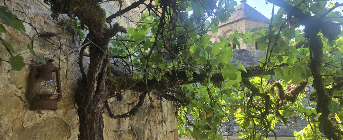 Maison en pierre à rénover - Charme et authenticité au cœur de Ligneyrac - photo 12