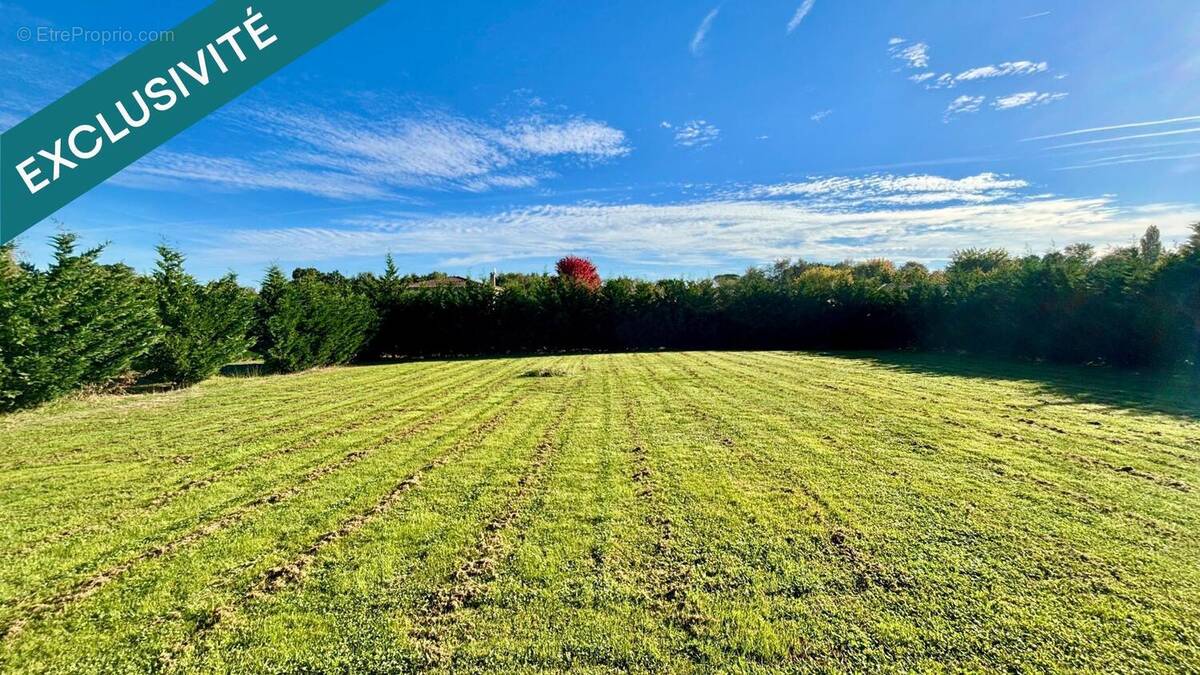 Photo 1 - Terrain à FRONTON