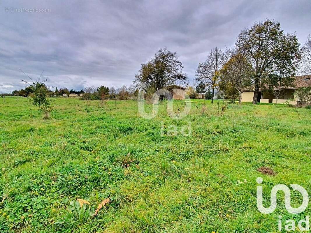 Photo 7 - Maison à NEGREPELISSE