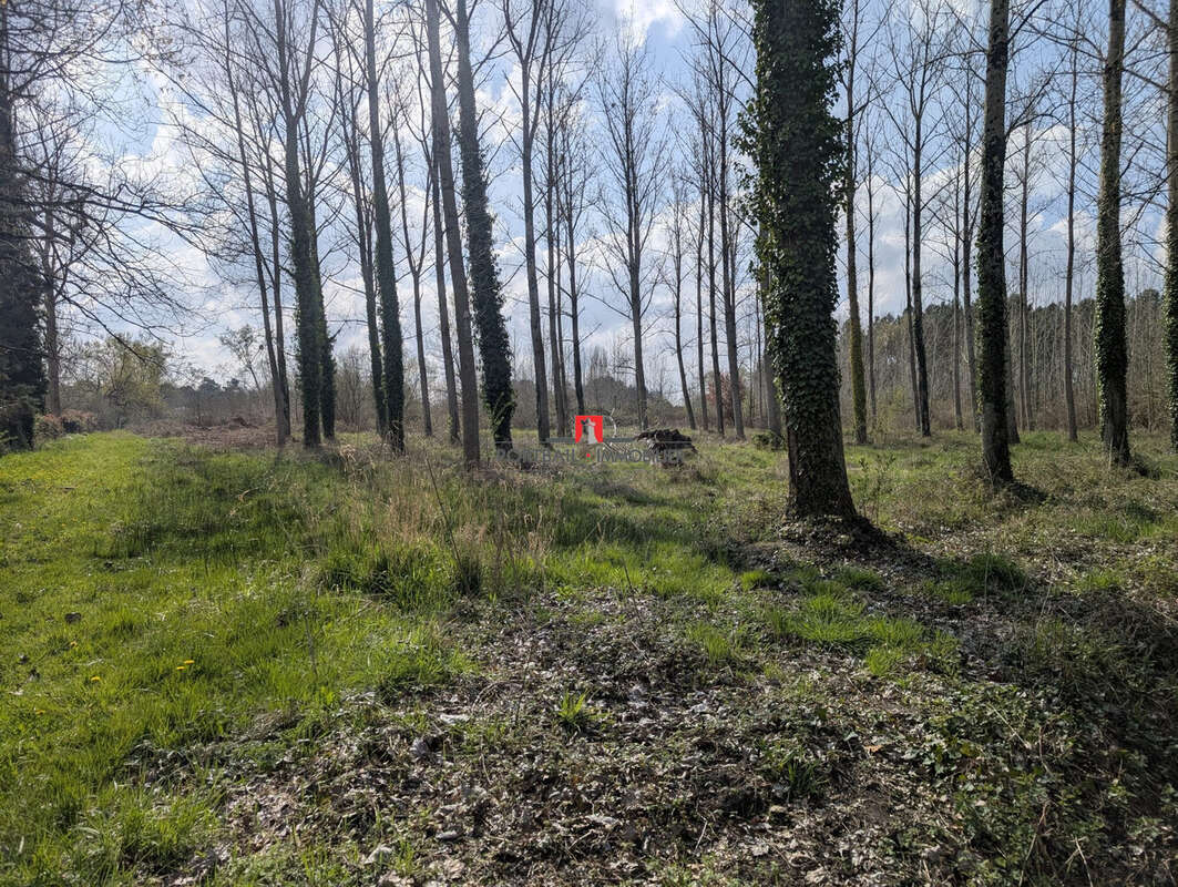 Terrain à ETAULIERS