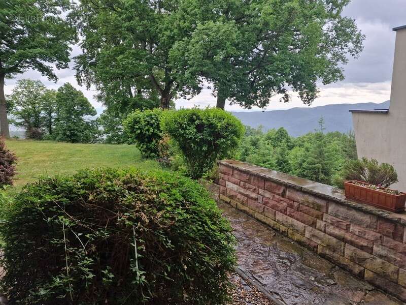 Appartement à TURCKHEIM