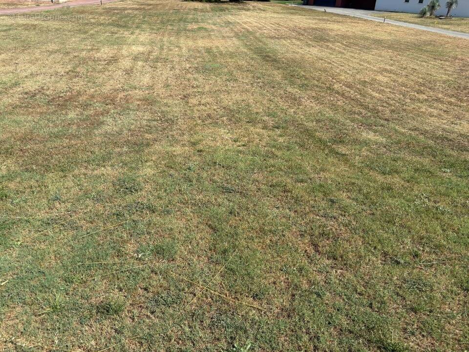 Terrain à BUZET-SUR-TARN