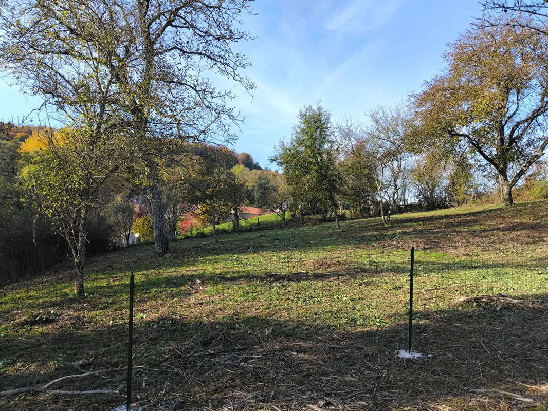 Terrain à COLOMBEY-LES-BELLES