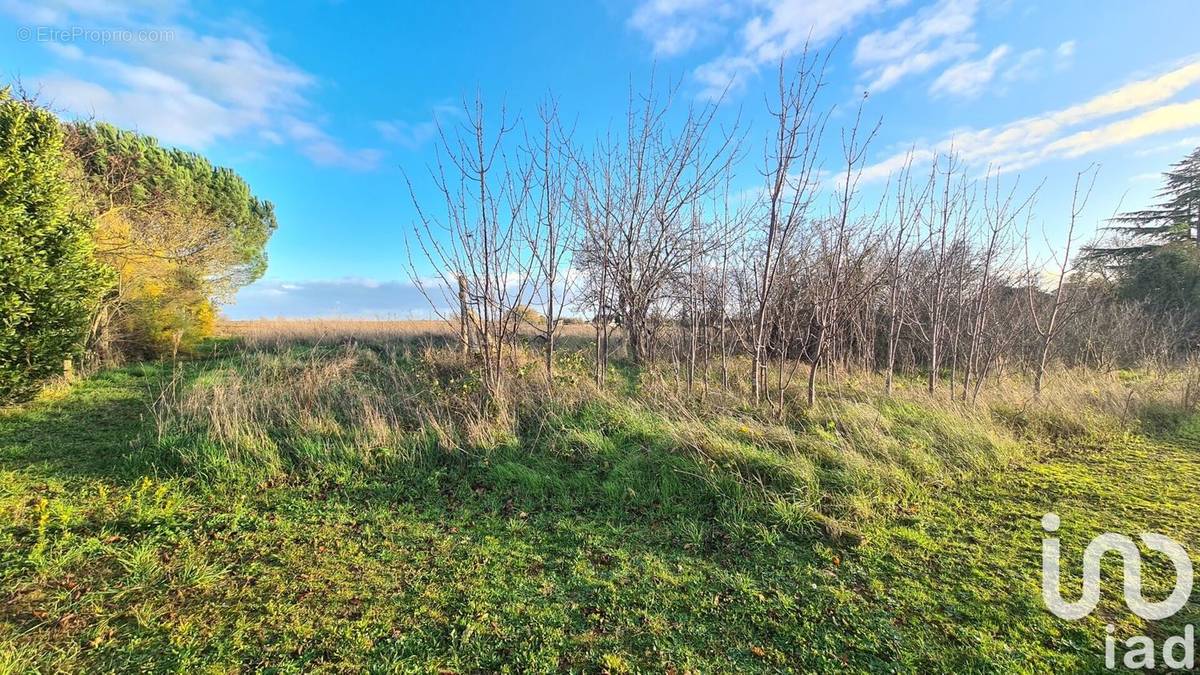 Photo 2 - Terrain à JAUNAY-CLAN