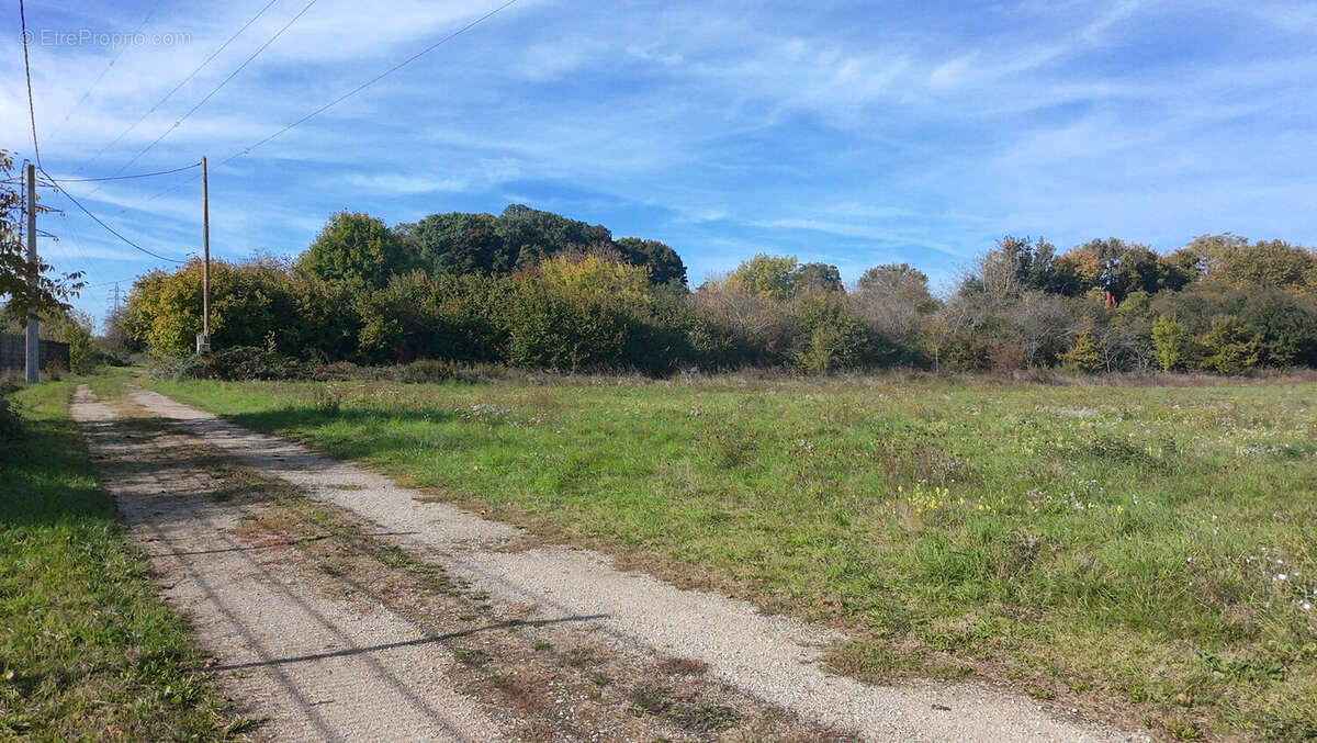 Terrain à POUILLY-SUR-SAONE