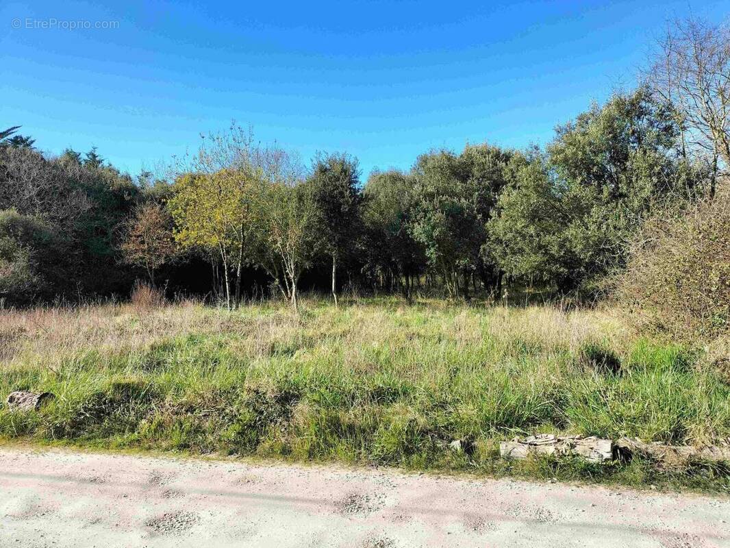Terrain à DOLUS-D&#039;OLERON