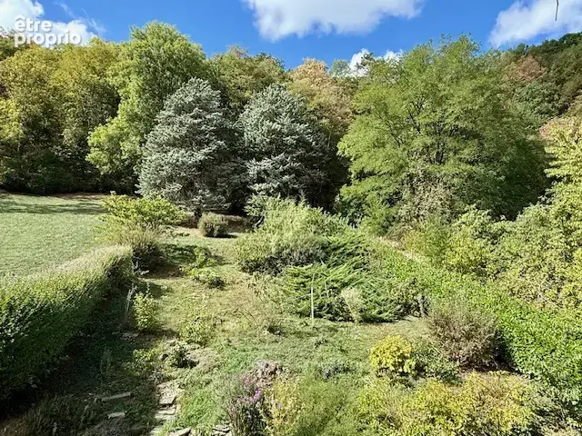 Maison familiale des années 70 avec sous-sol complet et beau potentiel - photo 20