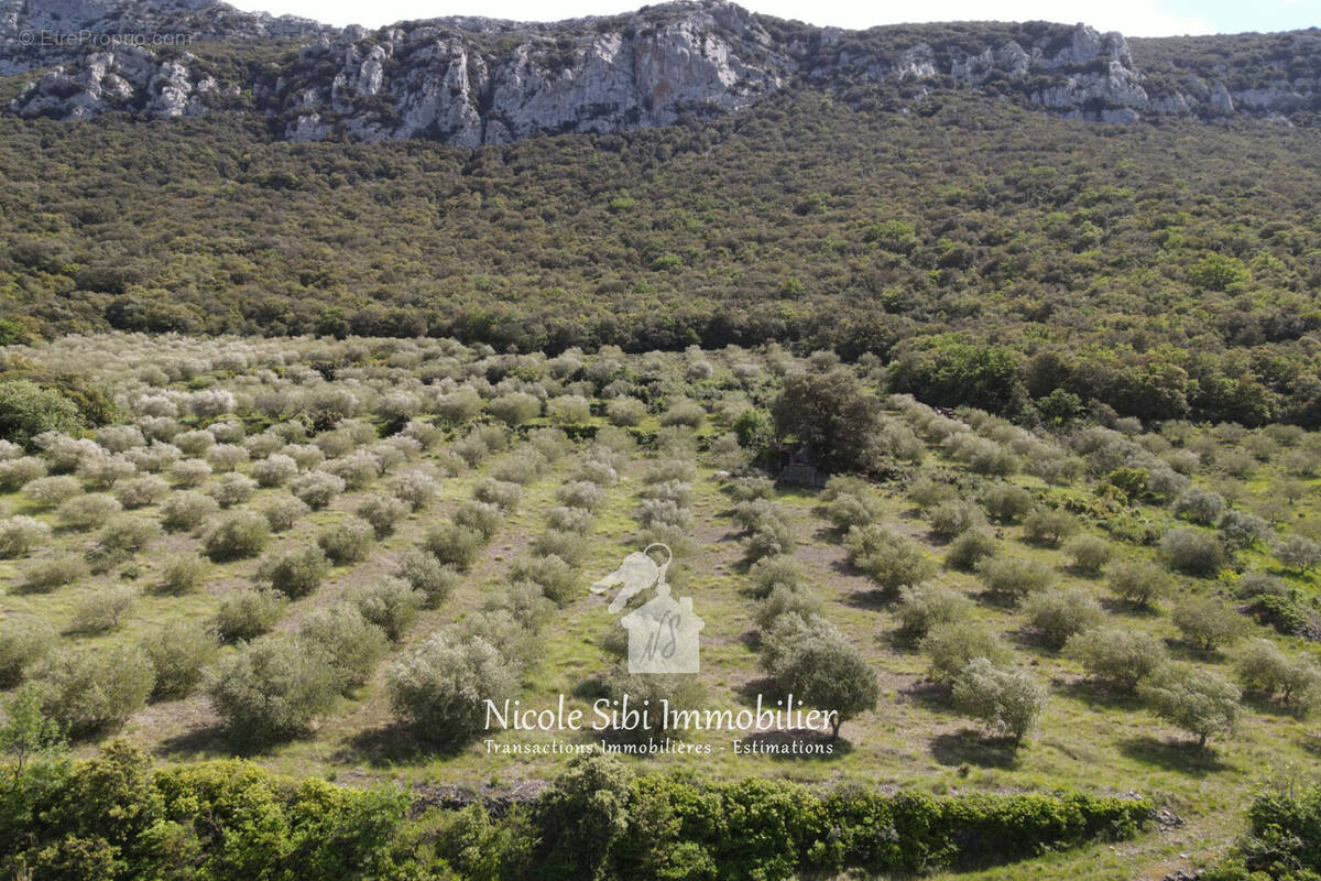 Terrain à SAINT-PAUL-DE-FENOUILLET