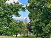 Terrain à LA ROCHE-NOIRE