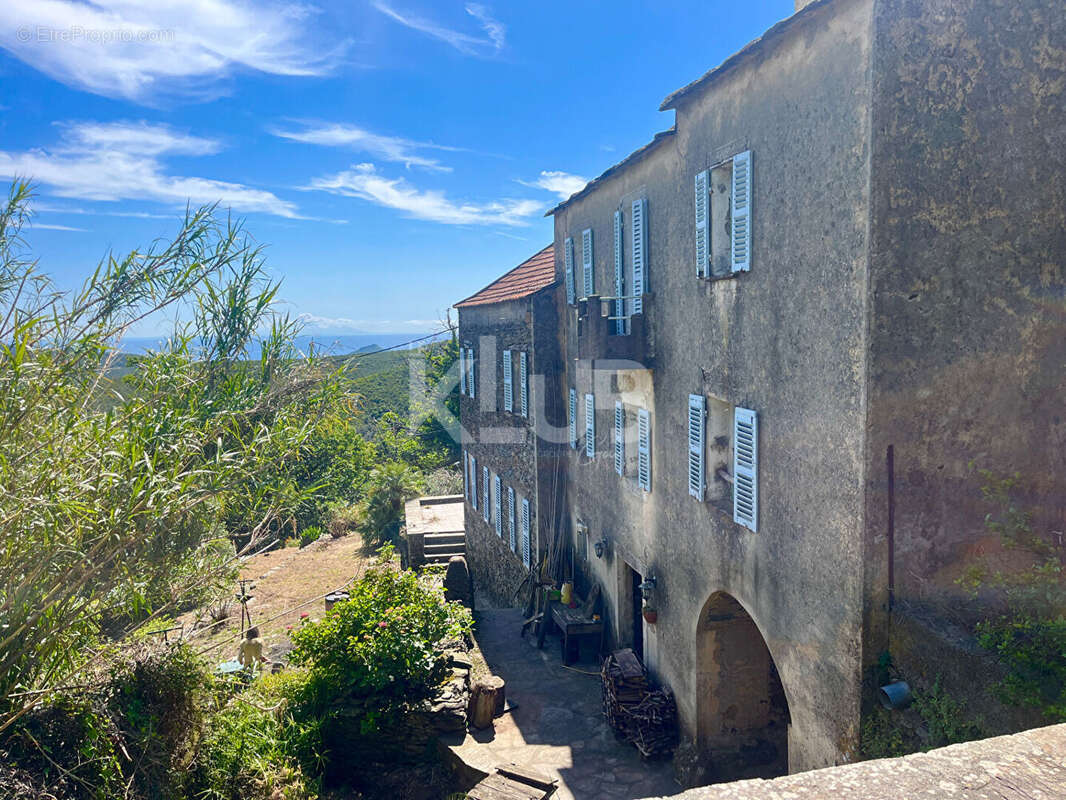 Maison à PIETRACORBARA