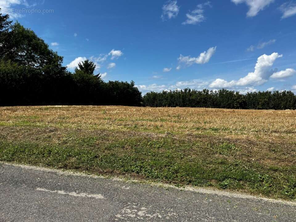 Terrain à SAINT-JEAN-DE-THURIGNEUX