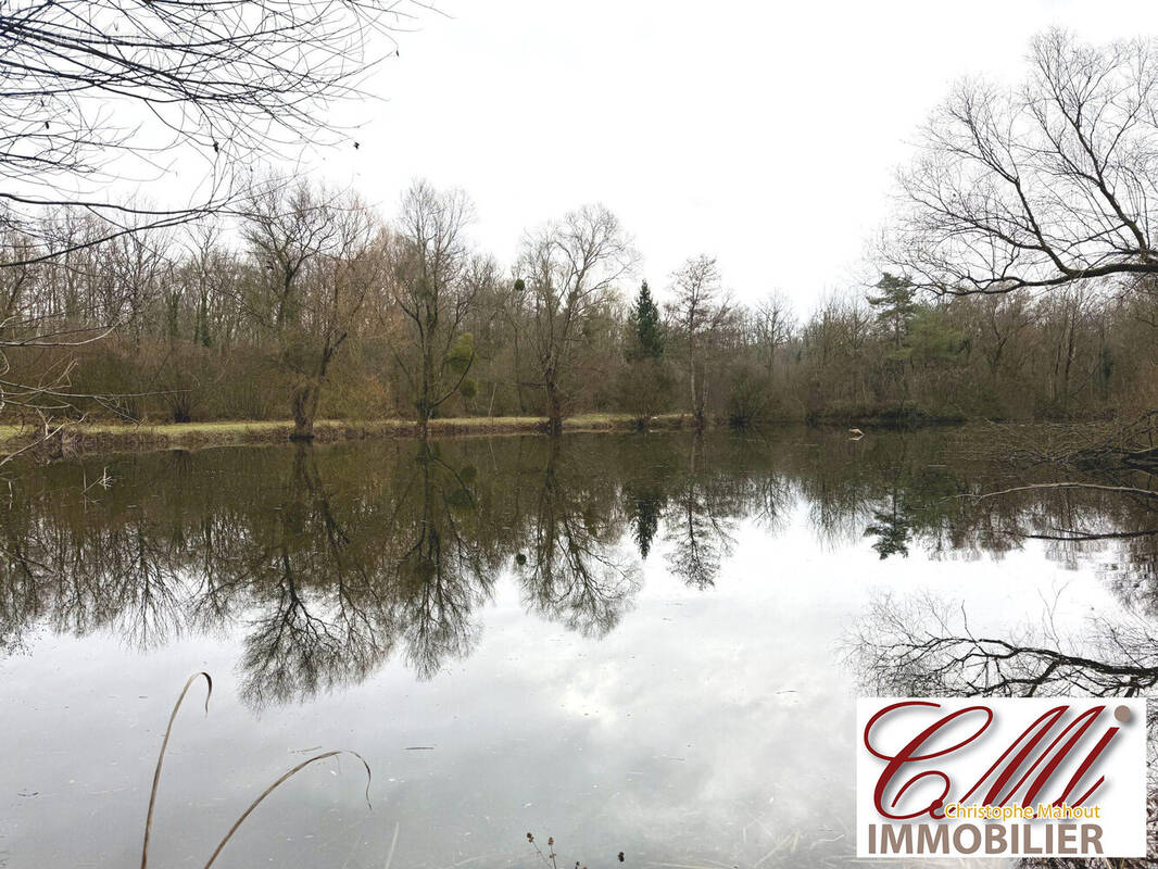 Terrain à VITRY-LE-FRANCOIS