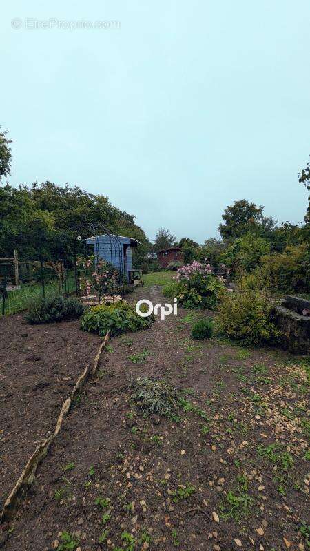 Maison à MENNOUVEAUX