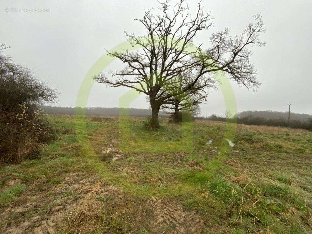 Maison à LIGNEROLLES