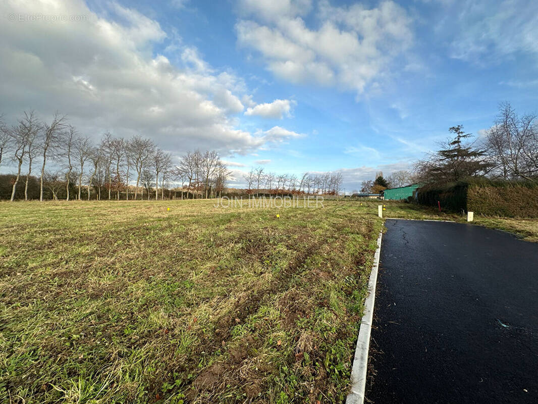 Terrain à LE BOIS-ROBERT