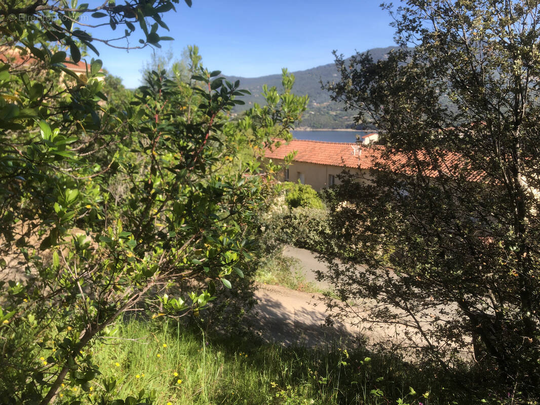 Terrain à PROPRIANO