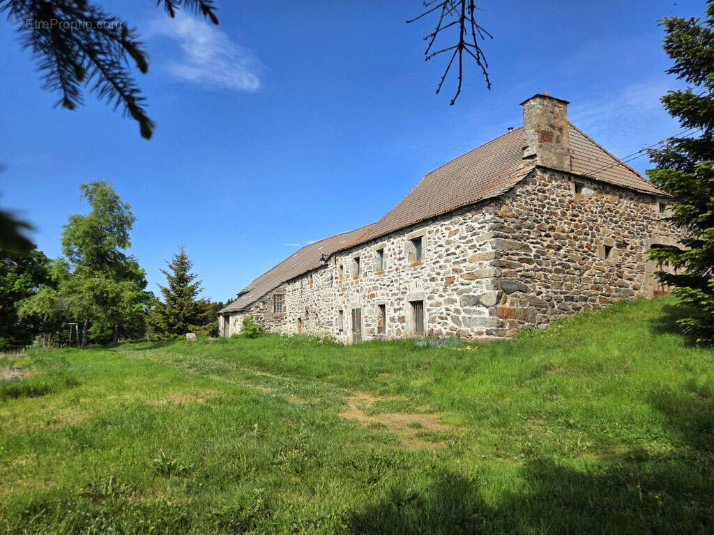 Belle ferme en pierre indépendante proche du Béage - photo 15