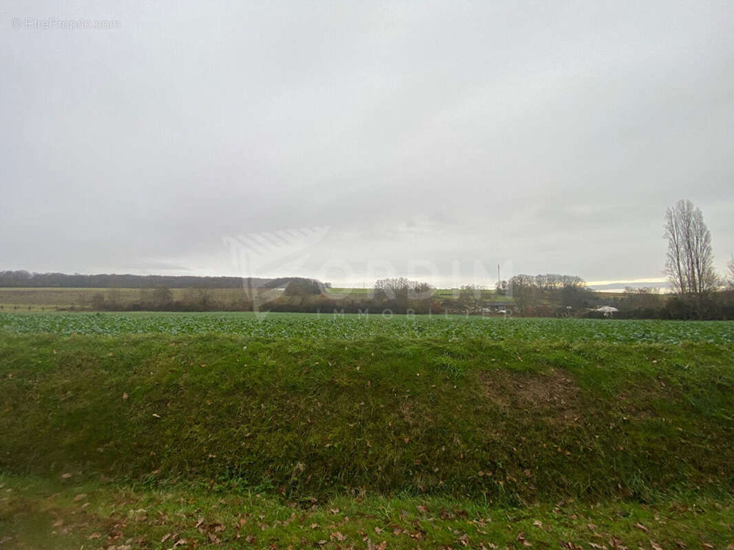 Terrain à CHARNY
