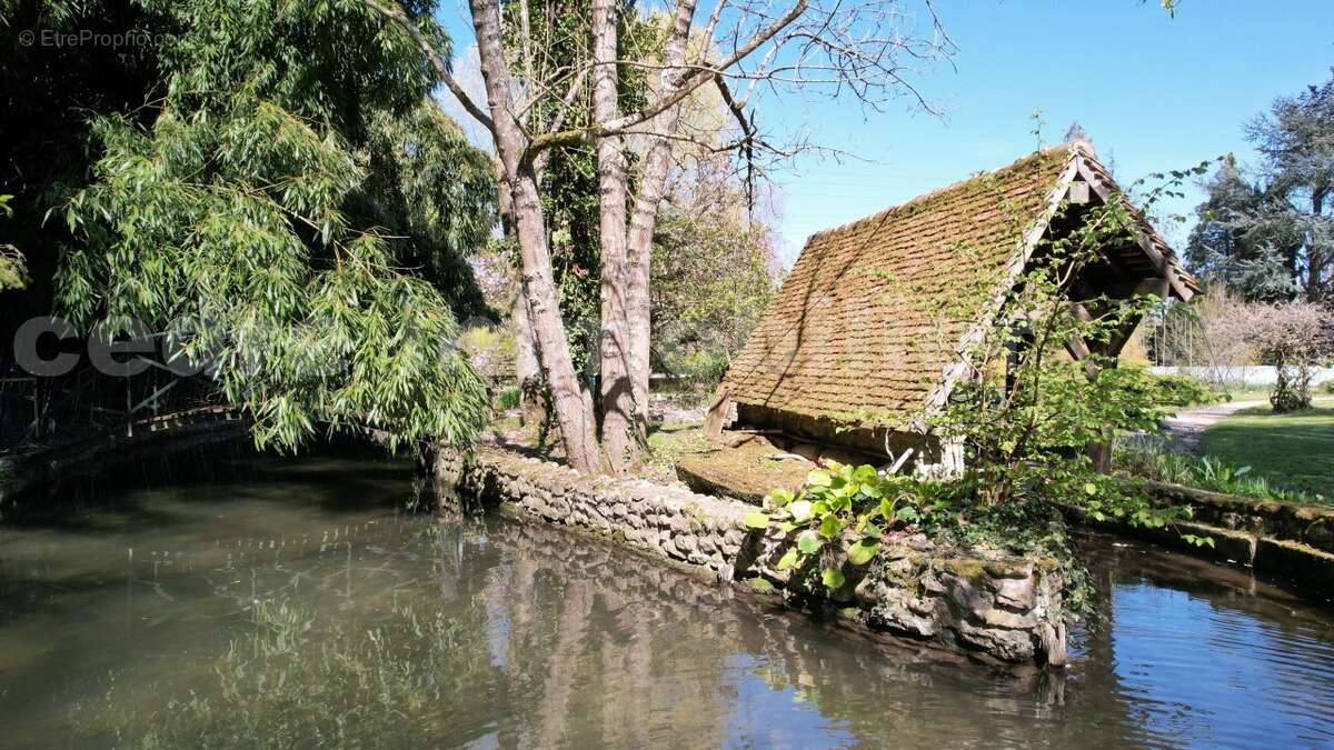 dji_fly_20230405_144846_767_1680705586071_photo - Maison à MEUNG-SUR-LOIRE