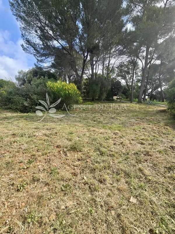 Terrain à BIOT