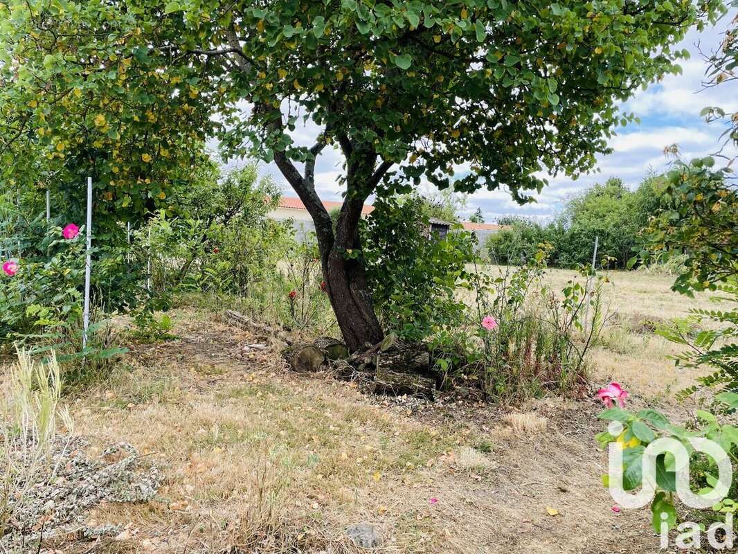 Photo 4 - Maison à CERNUSSON